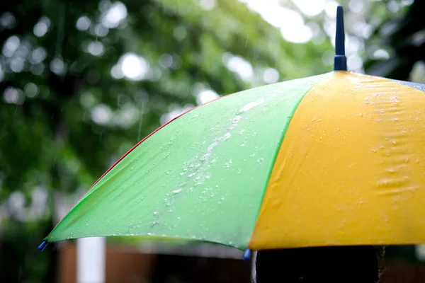 Vrouwen Lopen Regen Hand Van Vrouwen Met Een Paraplu Voelt — Stockfoto