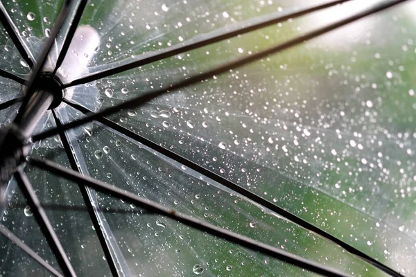 Vrouwen Lopen Regen Hand Van Vrouwen Met Een Paraplu Voelt — Stockfoto