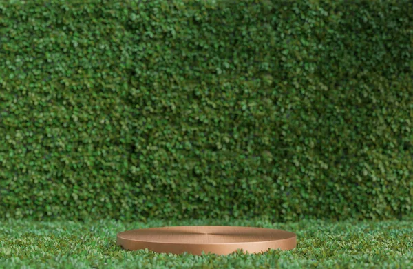 Gold Circle Podium Product Presentation Green Leaves Wall Background Natural — Stock fotografie