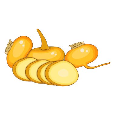 Turuncu şalgam afişler, afişler, posterler, kartlar için. Sarı şalgam - bütün ve dilimler. Çizgi film tarzında turuncu şalgam. Taze organik sebzeler. Vektör illüstrasyonu beyaz arkaplanda izole edildi.