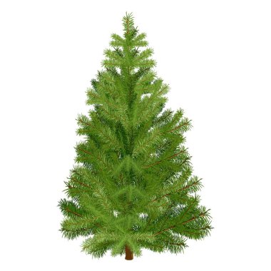 Ladin, Noel ağacı, çam, afişler, posterler, tebrik kartları, sosyal medya için köknar. Noel, yeni yıl, kış. Vektör illüstrasyonu beyaz arkaplanda izole edildi
