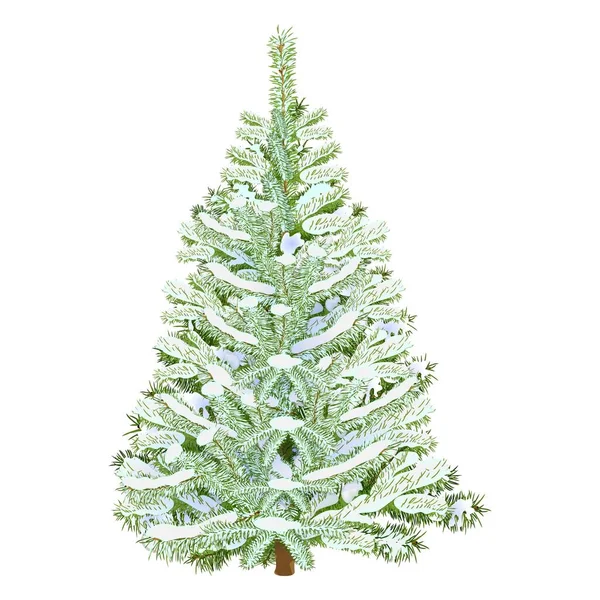 Spruce, Christmas tree, pine, fir with snow for banners, posters, greeting cards, social media. Christmas, New Year, winter. Vector illustration isolated on white background — Stock vektor