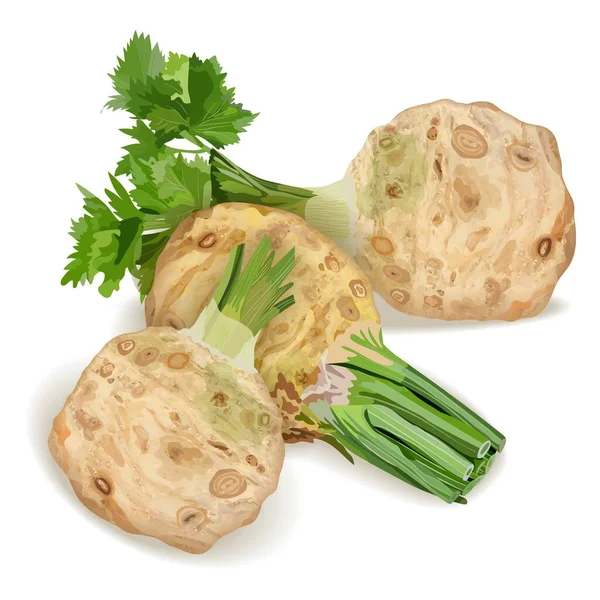 Afişler, el ilanları, posterler, sosyal medya için üç kök kerevizi. Taze organik ve sağlıklı, diyet ve vejetaryen sebzeler. Vektör illüstrasyonu beyaz arkaplanda izole edildi