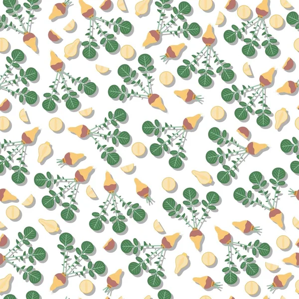 Fond sans couture de rutabaga. Entier, moitié, et tranché de navet suédois. Racine de Suédois. Style plat. Légumes-racines. Modèle. Illustration vectorielle isolée sur fond blanc — Image vectorielle