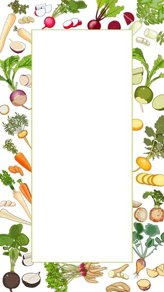 Вертикальное прямоугольное знамя с морковью, свеклой, сельдереем, петрушкой, дайконом, пастернаком, рутабагой, репой, жёлтой репой, арракачей, макой и красной, чёрной, китайской редиской. Шаблон. Векторная иллюстрация — стоковый вектор
