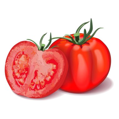 Composition of whole and half tomatoes. Red Globe tomato for banners, flyers, social media. Fresh organic and healthy, diet and vegetarian vegetables. Vector illustration isolated on white background