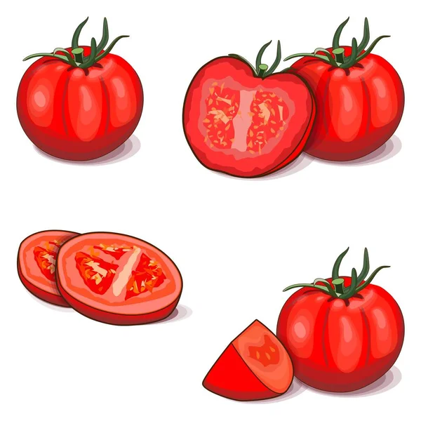 Composición de tomates enteros, la mitad, en rodajas. Red Globe tomate para pancartas, volantes, redes sociales. Verduras vegetarianas frescas. Ilustración vectorial aislada sobre fondo blanco. Estilo de dibujos animados — Vector de stock