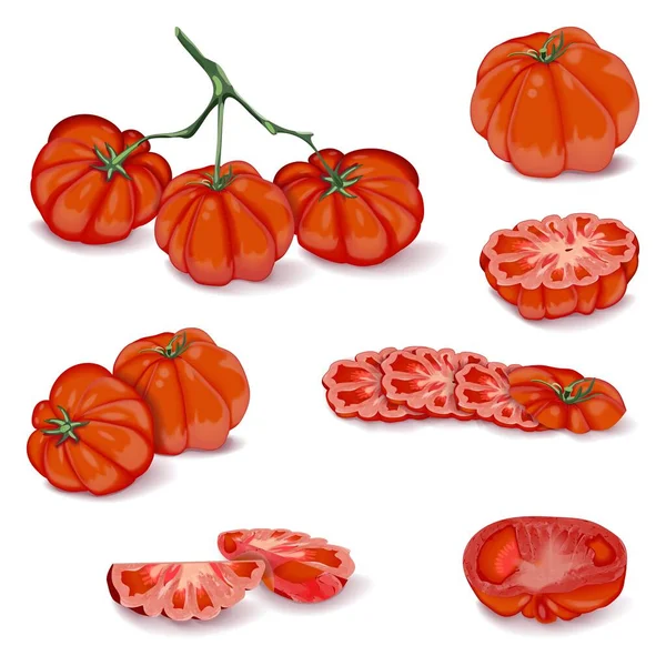 一套用于横幅 海报和社交媒体的西红柿 四分之一 牛肉西红柿片 牛排番茄 在白色背景上孤立的向量图 — 图库矢量图片
