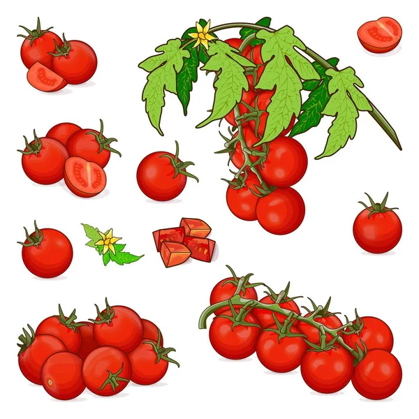 Set Cherry Tomatoes Banners Flyers Posters Social Media Branch Whole — 图库矢量图片