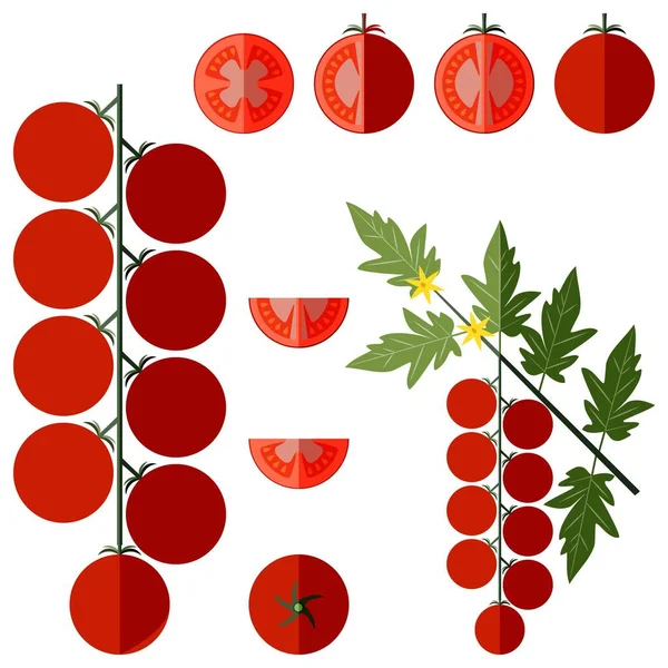 Conjunto Tomates Cherry Para Pancartas Volantes Carteles Redes Sociales Rama — Vector de stock