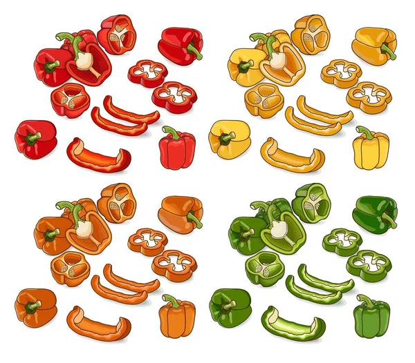 Set Red Green Yellow Orange Bell Peppers Whole Half Sliced — Stock Vector
