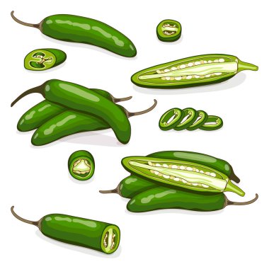 Set of green serrano Chile peppers. Whole, half, sliced and wedges of peppers. Chile serrano. Serrano chilis. Chili pepper. Vegetables. Cartoon style. Vector illustration isolated on white background.