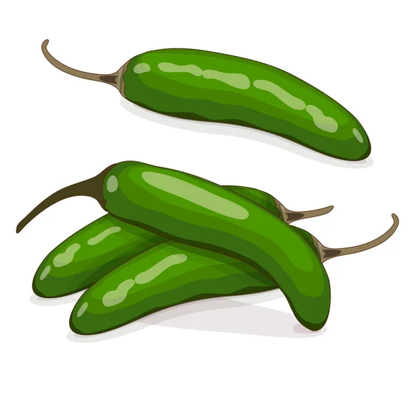 Group Green Serrano Chile Peppers Chile Serrano Serrano Chilis Chili — Vettoriale Stock