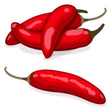 Group of red serrano Chile peppers. Chile serrano or serrano chilis. Chili pepper. Capsicum annuum. Vegetables. Cartoon style. Vector illustration isolated on white background.