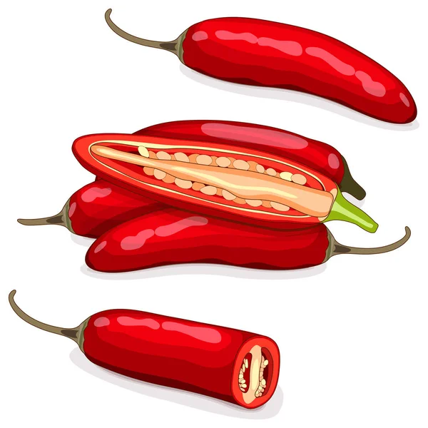 Whole Quarter Half Red Serrano Chile Peppers Chile Serrano Serrano — Stockvektor