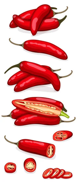 Set Red Serrano Chile Peppers Whole Half Sliced Wedges Peppers — Archivo Imágenes Vectoriales