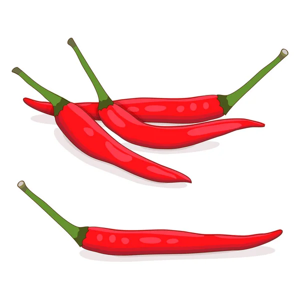 Grupo Chiles Rojos Tailandeses Red Chilli Padi Birds Eye Chilli — Vector de stock