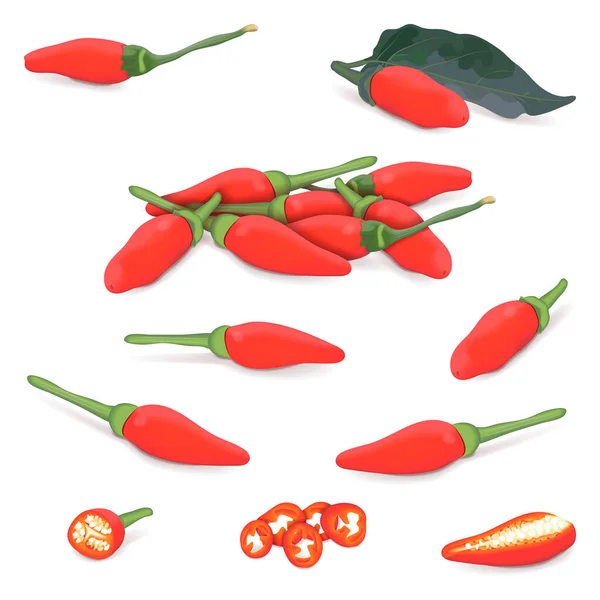 Ensemble Piments Péri Péri Des Piments Péri Péri Piri Piri — Image vectorielle