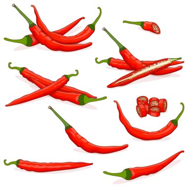 Tam, yarım, çeyrek dilimler ve bir parça Cayenne biberiyle hazırlanmış. Ginnie biberleri. Chili biberleri. Taze organik sebzeler. Çizgi film tarzı. Vektör illüstrasyonu beyaz arkaplanda izole edildi.