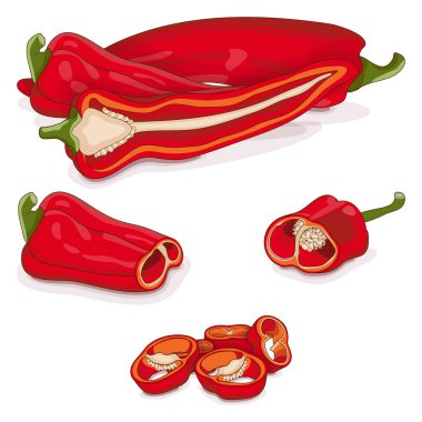 Tam, yarım, çeyrek, dilimler ve bir kaşık tatlı İtalyan biberi. Friggitello. Toskana biberi. Pepperoncini biberleri. Sebzeler. Çizgi film tarzı. Vektör illüstrasyonu beyaz arkaplanda izole edildi.