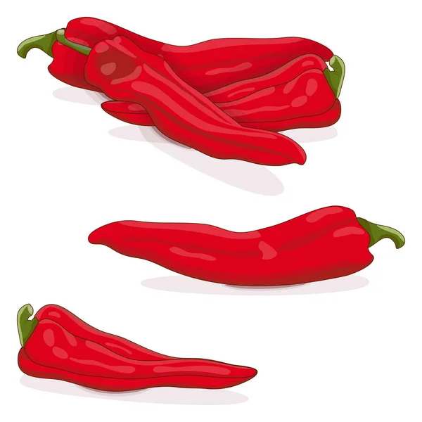 Groep Van Zoete Italiaanse Chili Pepers Verdraaid Toscaanse Pepers Peperoncini — Stockvector