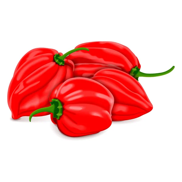 Groep Rode Habanero Chili Pepers Capsicum Chinense Verwarm Chili Peper — Stockvector