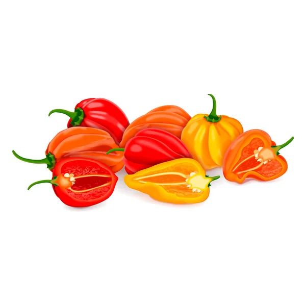 Whole Half Habanero Red Orange Yellow Habanero Chili Peppers Capsicum — Stock Vector