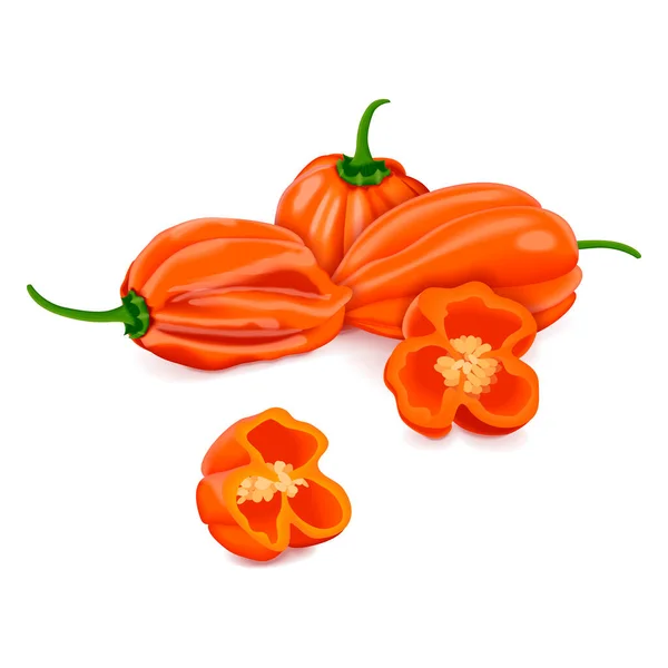 Whole Quarter Orange Habanero Chili Peppers Capsicum Chinense Hot Chili — Stock Vector
