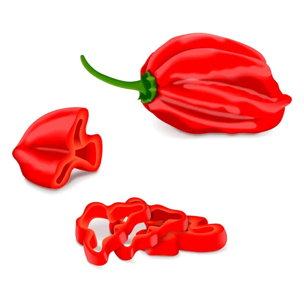 Hele Kwartjes Schijfjes Schijfjes Rode Habanero Chili Pepers Capsicum Chinense — Stockvector