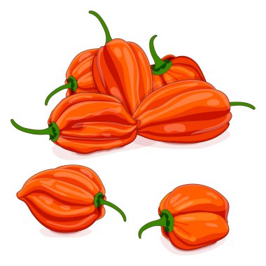 Bir grup portakallı habanero biberi. Capsicum chinense. Acı kırmızı biber. Taze organik sebzeler. Çizgi film tarzı. Vektör illüstrasyonu beyaz arkaplanda izole edildi.