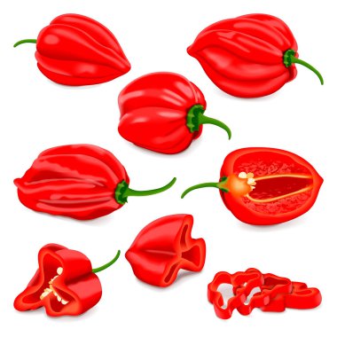 Tam, yarım, çeyrek, dilimler ve kırmızı habanero acı biberli. Capsicum chinense. Acı kırmızı biber. Taze organik sebzeler. Vektör illüstrasyonu beyaz arkaplanda izole edildi.