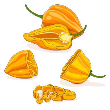 Tam, yarım, çeyrek dilim sarı habanero biberi. Capsicum chinense. Acı kırmızı biber. Taze organik sebzeler. Çizgi film tarzı. Vektör illüstrasyonu beyaz arkaplanda izole edildi.