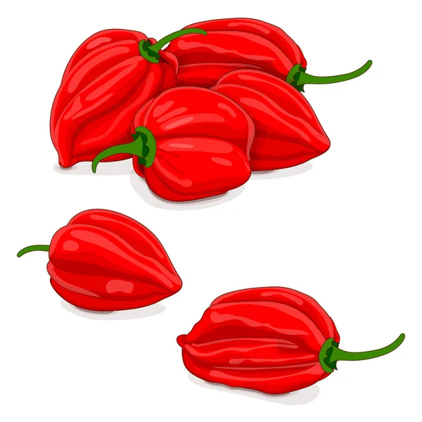 Groep Rode Habanero Chili Pepers Capsicum Chinense Hete Chili Peper — Stockvector