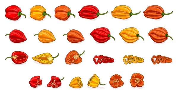 Set Met Hele Halve Kwart Plakjes Schijfjes Habanero Chili Pepers — Stockvector