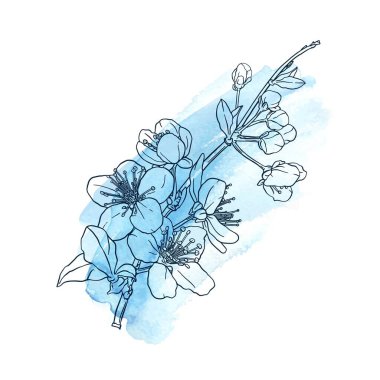 Çiçek, çiçek, yaprak ve yapraklarla el çizimi Sakura dalı. Pembe, kırmızı suluboya leke. Modern çizgi sanat tarzı. Kart, davetiye, logo, kumaş baskısı için botanik bileşimi.