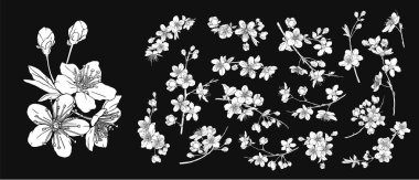 Çiçek, çiçek, yaprak ve yapraklarla el çizimi Sakura dalı. Modern satır sanatı tarzı.