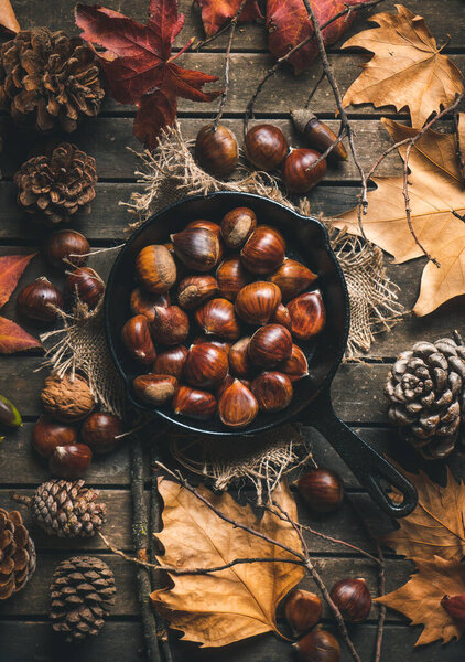 Raw chestnuts in a small iron pan on a table with autumn leaves and pine cones. Ready to roast and eat. Traditional autumn food. 