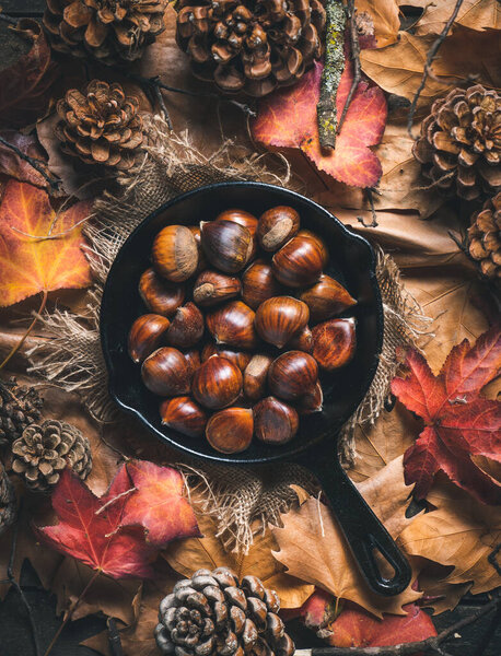 Raw chestnuts in a small iron pan on a table with autumn leaves and pine cones. Ready to roast and eat. Traditional autumn food. 