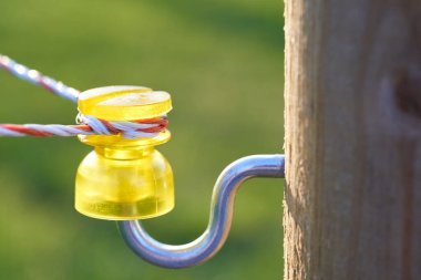 Bir çit direğinin üzerinde (Weidezaun) sarı izolatör. Arka planda yeşil çayır var. Yan görünüm.