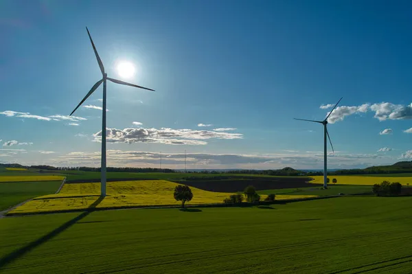 Windturbines Landbouwvelden Verkrachting Tarwe Groeien Het Voorjaar Zonsondergang Achteraanzicht — Stockfoto