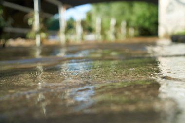 Köprünün altından taşma ihtimaline karşı kirli su. Derin bir bulanıklığın içinde parmaklıklar.