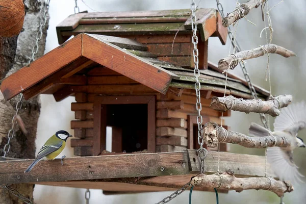 Tit Wooden Bird House Winter Feeding Snow Frost Great Tit — Stockfoto