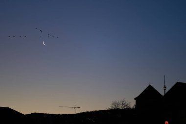 Sabah hilal aylı bir şehir. Konut binaları arasındaki TV kulesi. Ufukta inşaat vinçleri var. Gök cisimlerinin üzerinde birkaç kuş uçuyor. Siluet şeklinde. Almanya, Stuttgart.