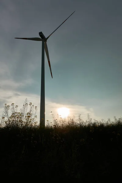 Wind Turbine Ondergaande Zon Schijnt Door Brandnetels Laag Hoekzicht Achteraanzicht — Stockfoto