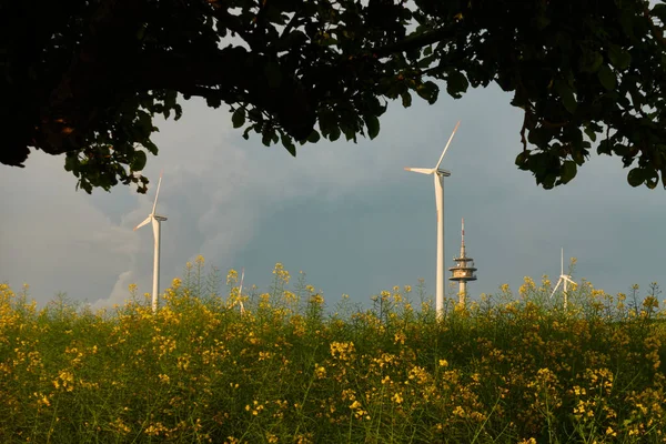 Windturbines Een Zendmast Achter Een Prachtig Verkrachtingsveld Het Silhouet Van — Stockfoto