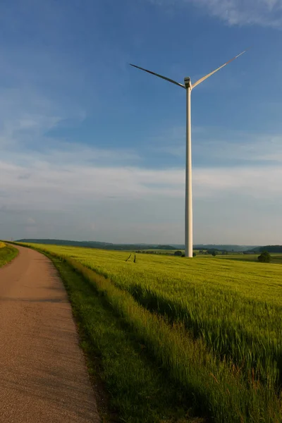 Eenzaam Pad Een Gersteveld Windturbine Van Achteren Tegen Een Blauwe — Stockfoto