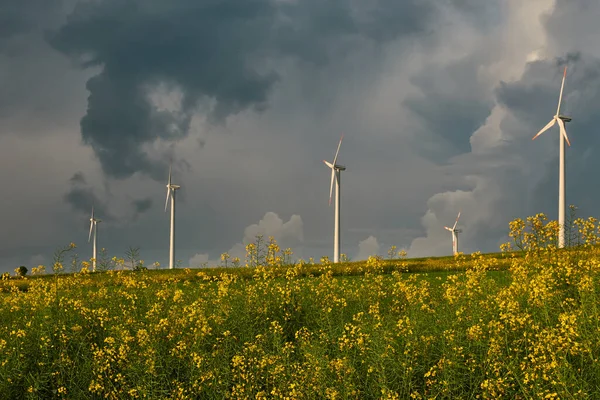 Onweer Vormt Zich Windturbines Verkrachting Veld Voorgrond Macht Natuur — Stockfoto