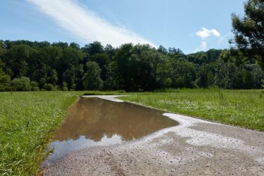 Doğada sel basmış yol. Kahverengi kirli su birikintisi. Yeşil ağaçlar ve taze çayırlar. Derin perspektif.