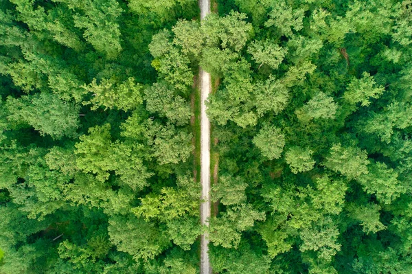 Niemiecki Las Mieszany Góry Widok Lotu Ptaka Zielone Drzewa Ścieżkę — Zdjęcie stockowe