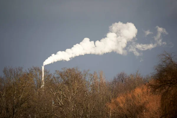 Skorsten Med Vit Rök Bakom Kala Träd Vintern Föroreningar Kolmonoxid — Stockfoto